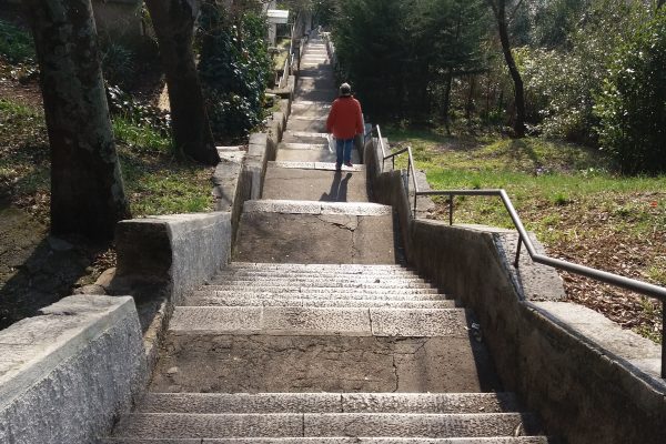 Svetište Majke Božje Trsatske Rijeka, Gospa Trsatska