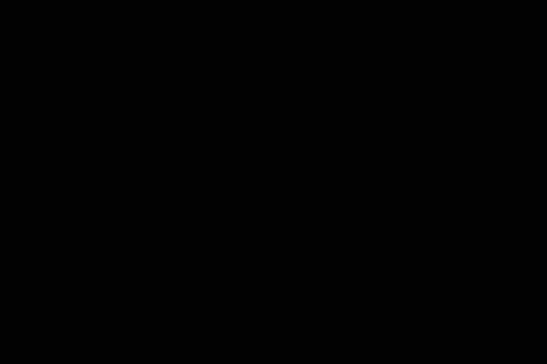 IMG 1976